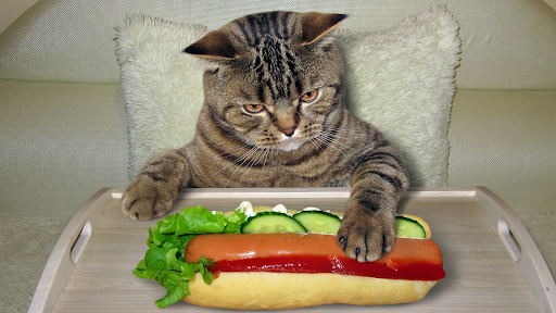 Can cats eat hotdogs - image of a cat pawing at a hotdog