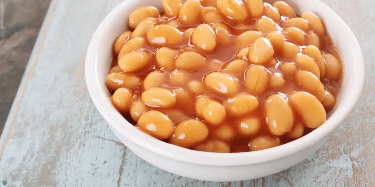 featured image for "can cats eat beans" featuring baked beans in a bowl