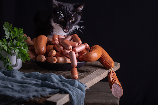 can cats eat sausage - image of a cat sniffing at a roll of sausages.