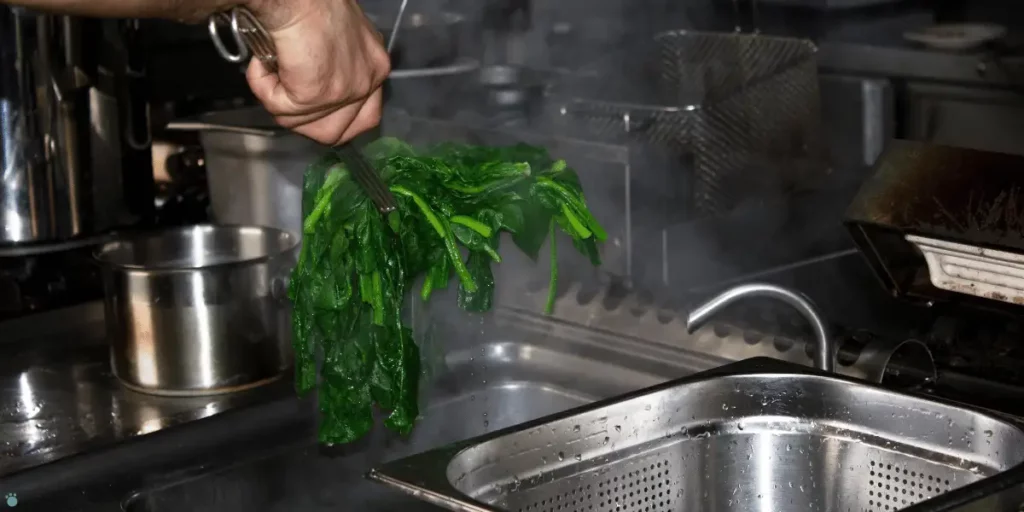 Blanching boiled spinach in cold water