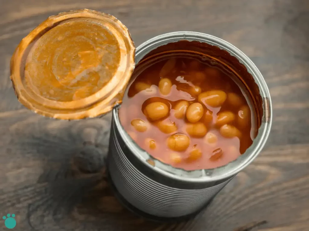 Canned beans in a metal tin